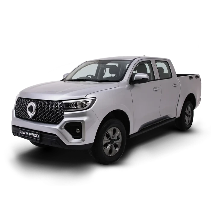 2.0T Double Cab SX 2WD AT