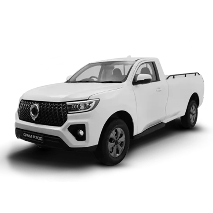 2.0T Single Cab SX 2WD MT