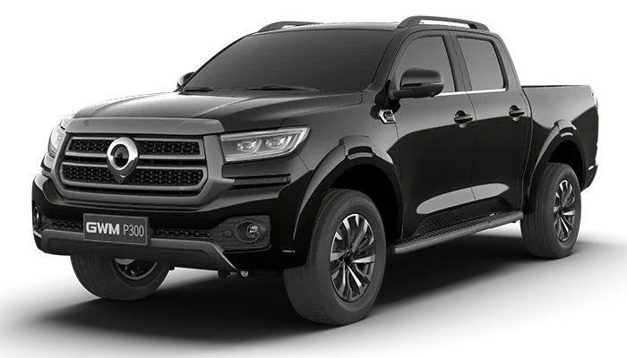 2.4T double cab LS 4x4