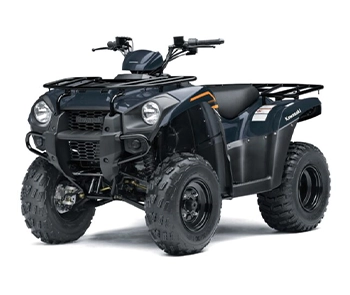Brute Force 300 – 2024