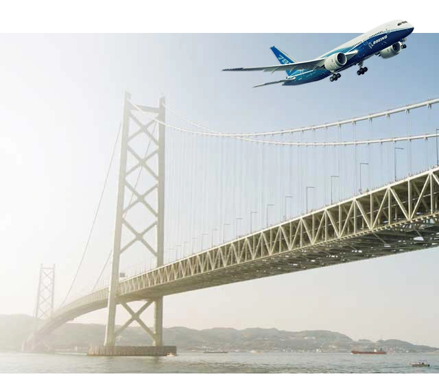 Plane flying in the sky
